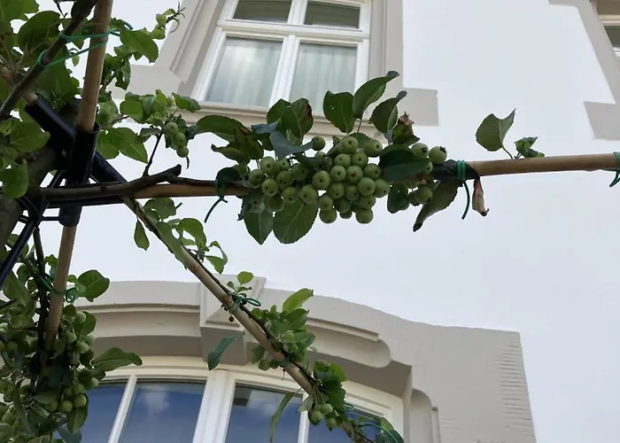 Gaestehaus Cantzheim 4* Kanzem