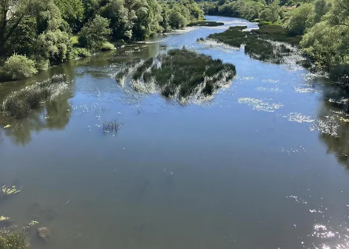 Gaestehaus Cantzheim 住宿加早餐酒店